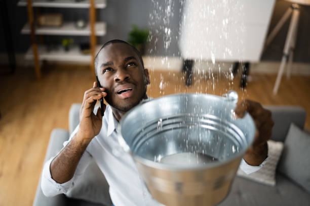 Best Ceiling water damage repair  in Mexico Beach, FL
