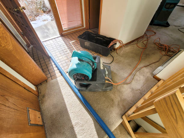 Best 24/7 water damage repair  in Mexico Beach, FL