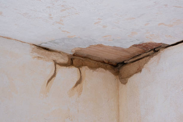 Best Ceiling water damage repair  in Mexico Beach, FL