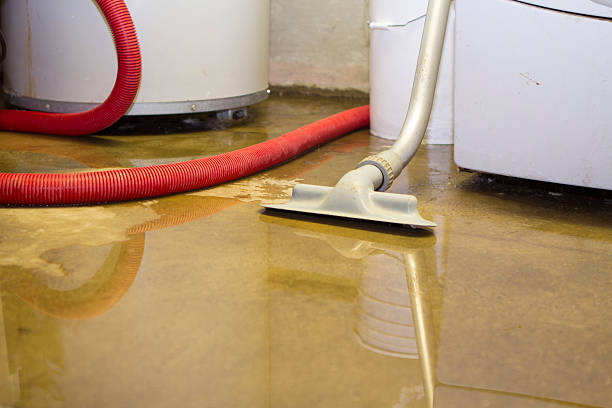 Best Fire Damage Restoration  in Mexico Beach, FL